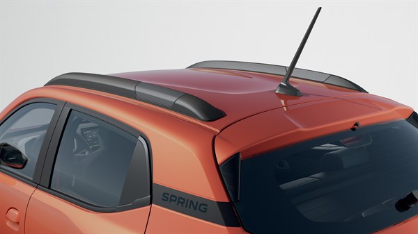 Decorative roof bars - Spring